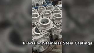 Premium Stainless Steel Sanitary Casting Solutions