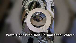 Precision Carbon Steel Valves Watertight Solution